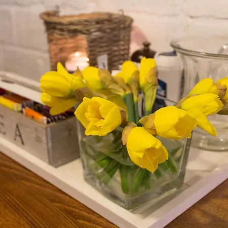 Hotell Mimosa Scheveningen
